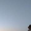 bellaogdee1